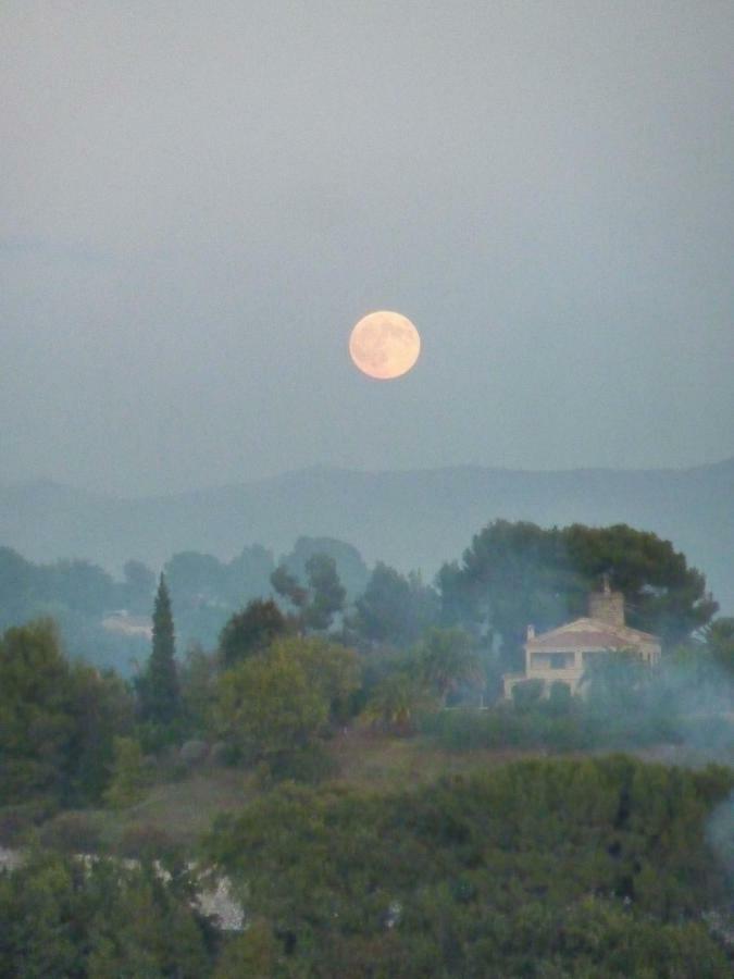 La Maison Aux Bonsais Saint-Paul-de-Vence Zewnętrze zdjęcie