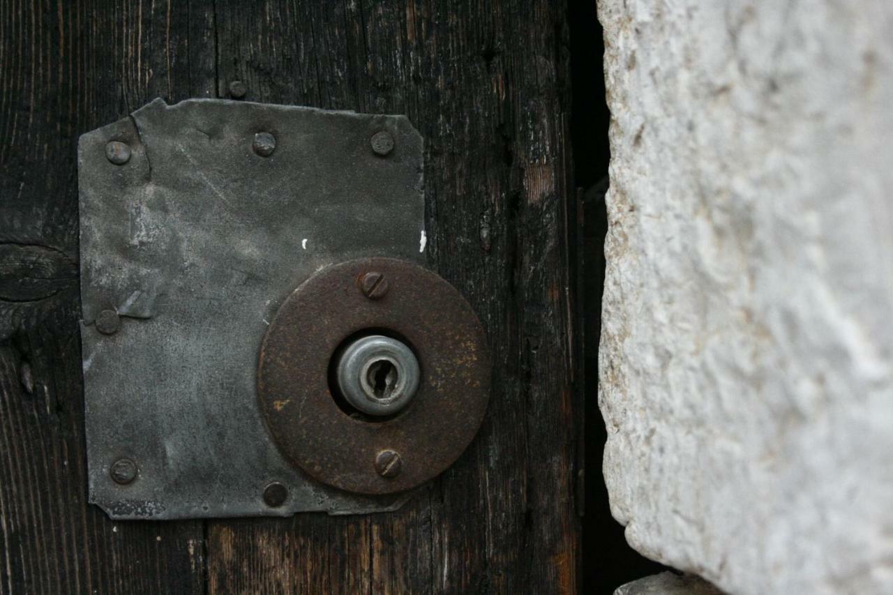La Maison Aux Bonsais Saint-Paul-de-Vence Zewnętrze zdjęcie