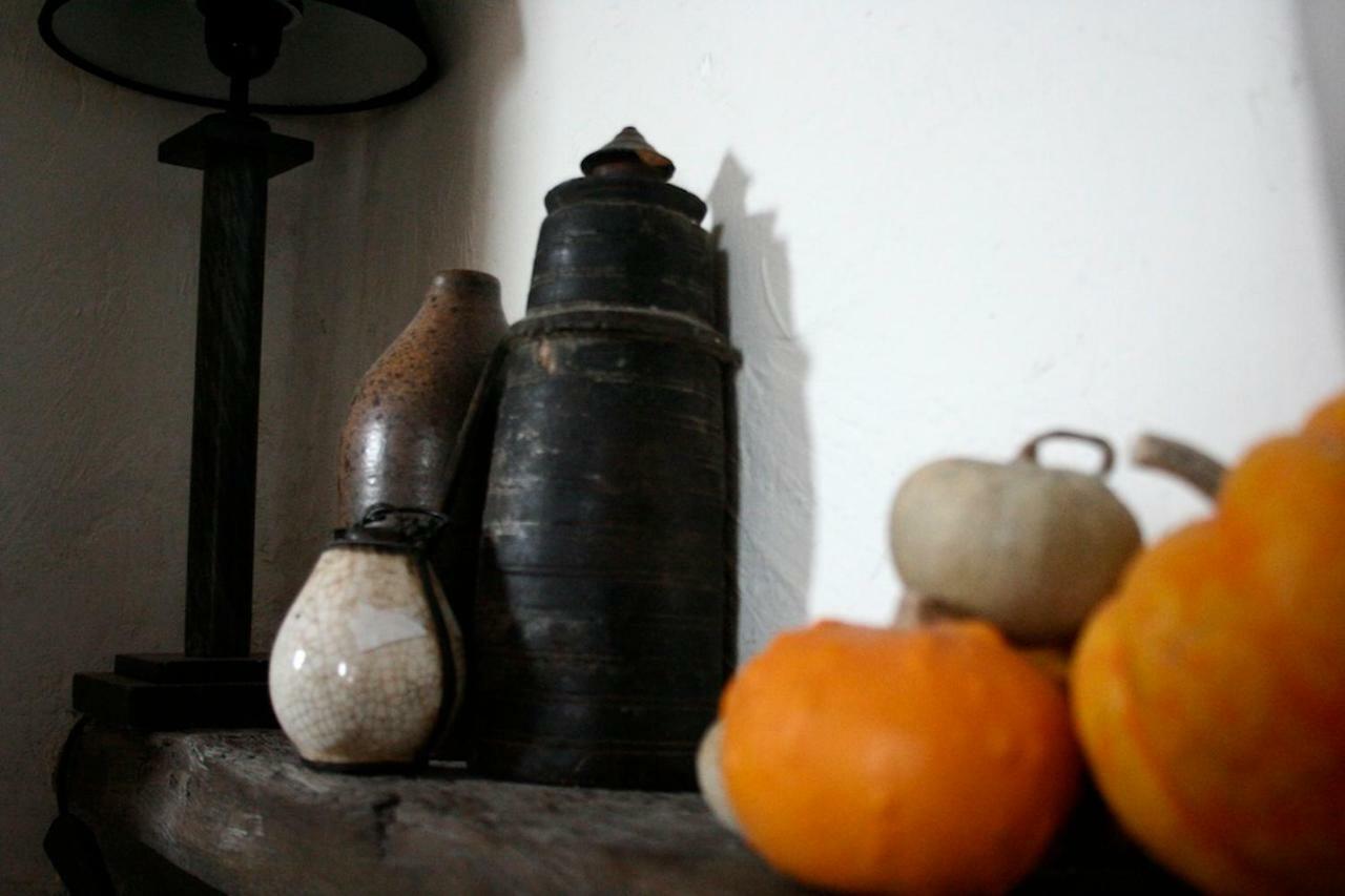 La Maison Aux Bonsais Saint-Paul-de-Vence Zewnętrze zdjęcie